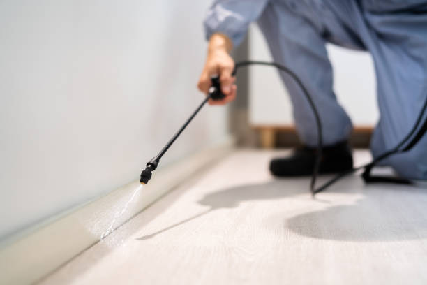 Professional exterminator conducting IPM assessment in Suquamish