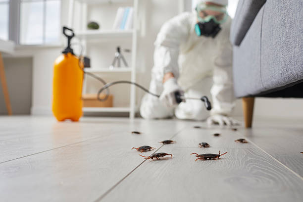 Commercial Kitchen Cockroach Control in Suquamish